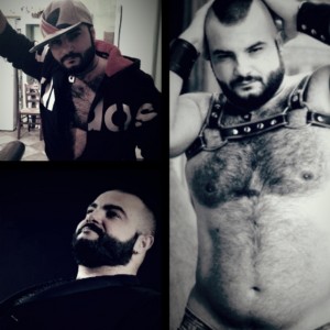 Pugliese Attivo Peloso Robusto fotografia:2