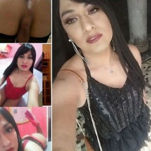 Ginevra Top Classbaby Trans a Rescaldina Nuovissima il Top fotografia:2