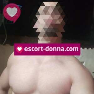 Come un porco bull cerca coppia singola fotografia:4